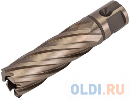  LENZ   .2055  LZHM-020  --