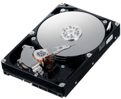    Western Digital Black 8 Tb  -