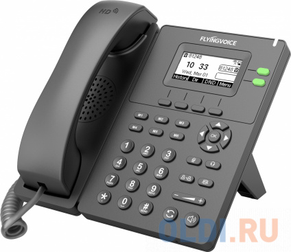   IP Flyingvoice P20G  (.:1)   