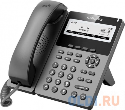   IP Flyingvoice P22G  (.:1)  