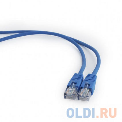  - UTP Cablexpert PP12-0.5M/B .5e, 0.5, ,  () (038539)  