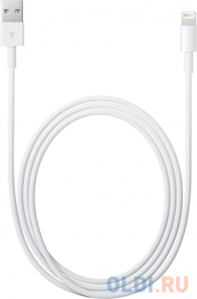   Lightning 2 Apple    