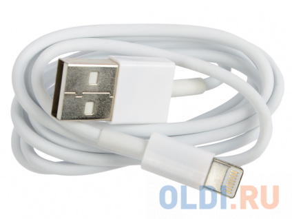   Lightning 1 Ritmix RCC-120    