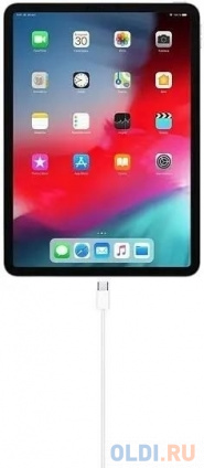   Type-C 1 Apple MUF72ZM/A   -