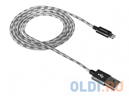   Lightning 1 Canyon CNE-CFI3DG    -