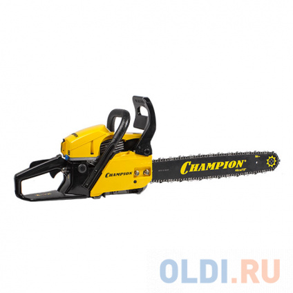   Champion 256-18  
