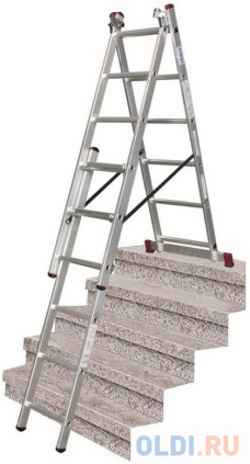   Krause 013361 36   