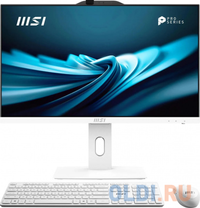   MSI Pro AP242P 14M-687RU  