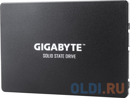  SSD  GigaByte GP-GSTFS31100TNTD 1 Tb SATA-III GP-GSTFS31100TNTD  -