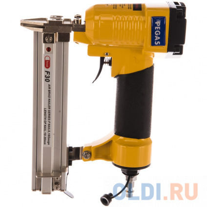  Pegas pneumatic   . F30C 1018  