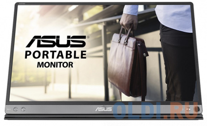   16" ASUS Portable MB16ACV  -