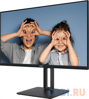   24.5&amp;quot; MSI PRO MP251P Black (IPS, 1920x1080, D-Sub+HDMI, 4 ms, 178/178, 300 cd/m, 1300:1 (100M:1), 100Hz, MM)  