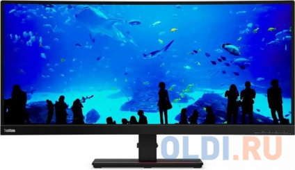   34" Lenovo ThinkVision P34w-20  -