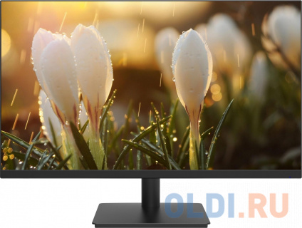   23.8" Dahua DHI-LM24-A201H  