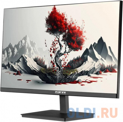   RDW Computers 23.8&quot; RDW2401K  IPS 4ms 16:9 HDMI M/M  HAS Piv 1000:1 300cd 178/178 1920x1080 100Hz VGA DP FHD 1.7 (RUS)  