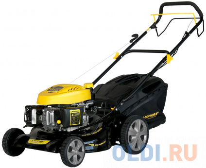    Champion LM5131  -