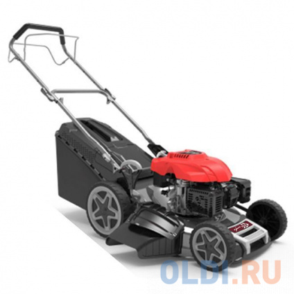  Expert-bis   Expert- bis L51S  263205  