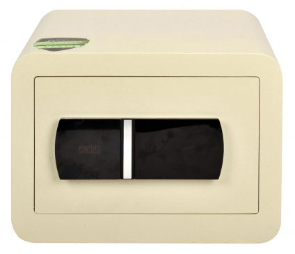    Cactus CS-SF-T25L 250x350x300   