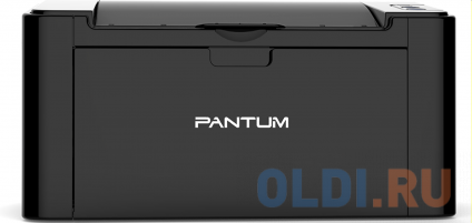   Pantum P2500  --