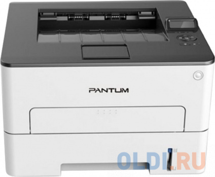   Pantum P3300DN/RU /  -