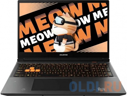   ColorFul MEOW R16 A10305000029 16"  