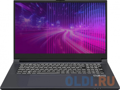   OSIO CyberLine C170i-001 C170I-001 17.3"   