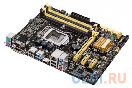    ASUS B85M-G  