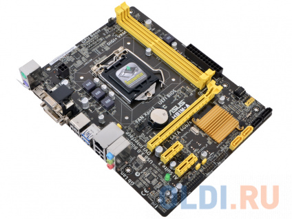    ASUS H81M-A  