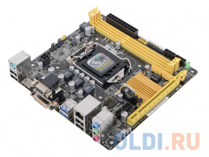    ASUS H81I-PLUS  