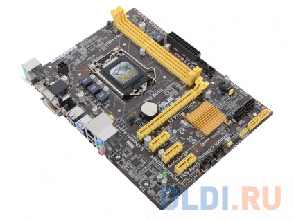    ASUS H81M-PLUS  
