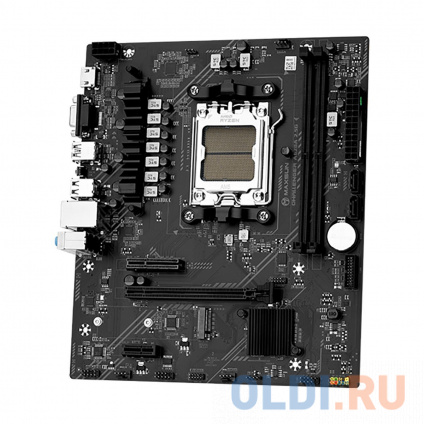    Maxsun MS-Challenger A620A 2.5G A620   