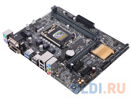    ASUS H110M-K  