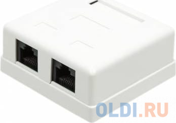   Lanmaster  2  RJ-45  5 UTP  TWT-SM2-4545-WH  