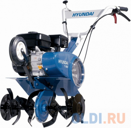    Hyundai T 800  