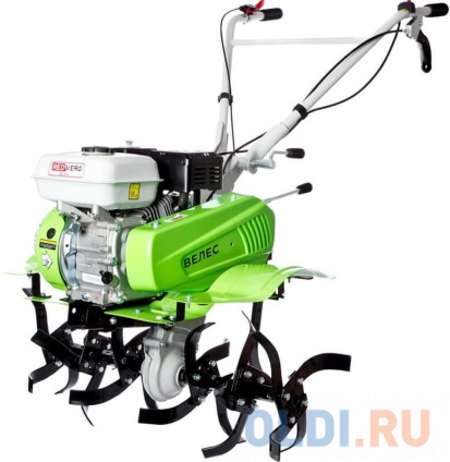   RedVerg -3C 7..  