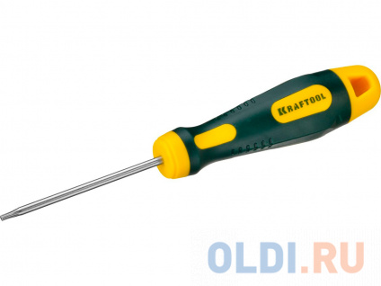   Kraftool Expert Cr-Mo-V     TORX Hole 8x60 250077-8-060   