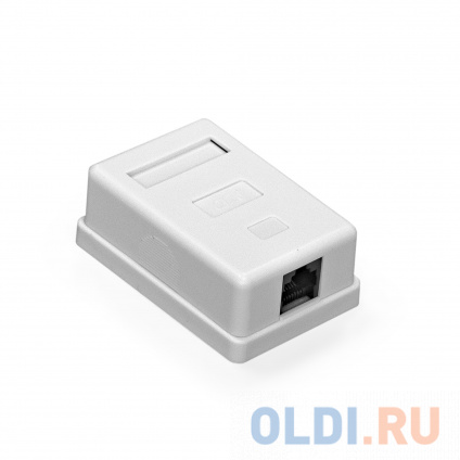    ExeGate SM1-RJ45-C6 RJ-45 .6 UTP Krone/110  